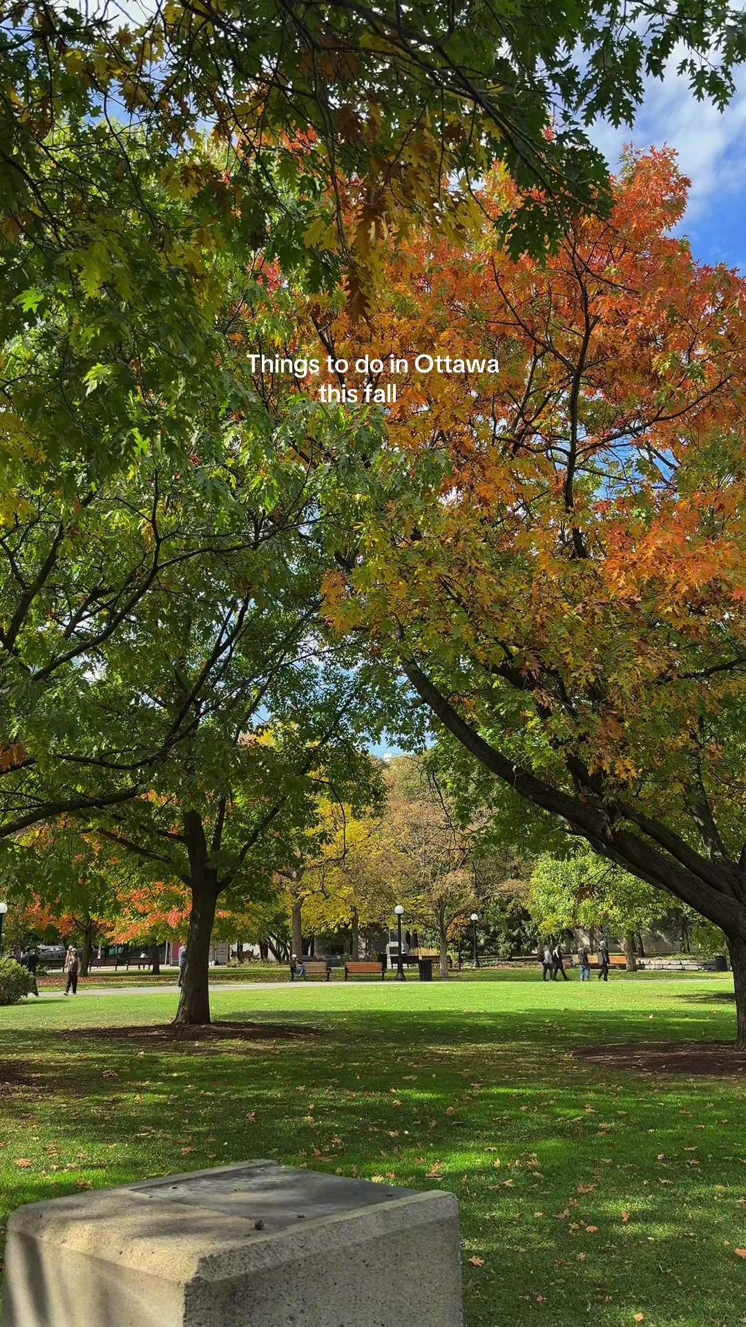 Fall Weekend Ottawa: Canal, Market & Parliament Hill