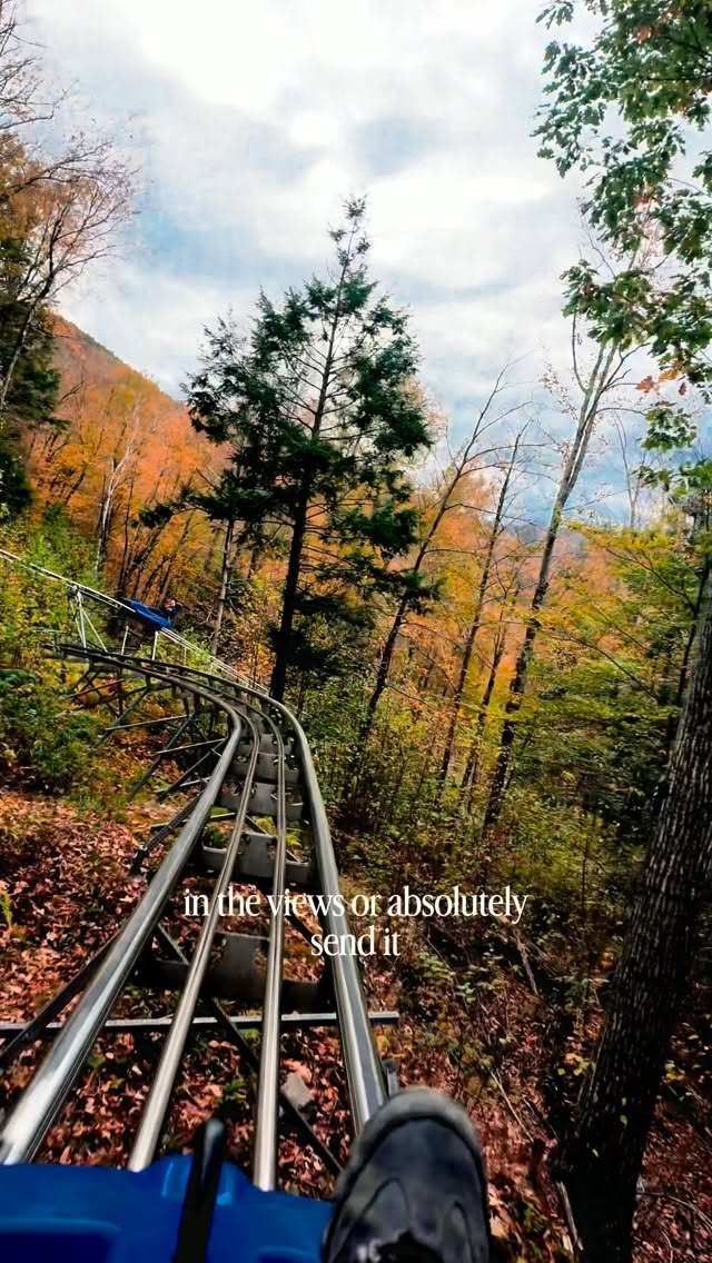 Mountain Coaster Offers Thrilling Fall Rides