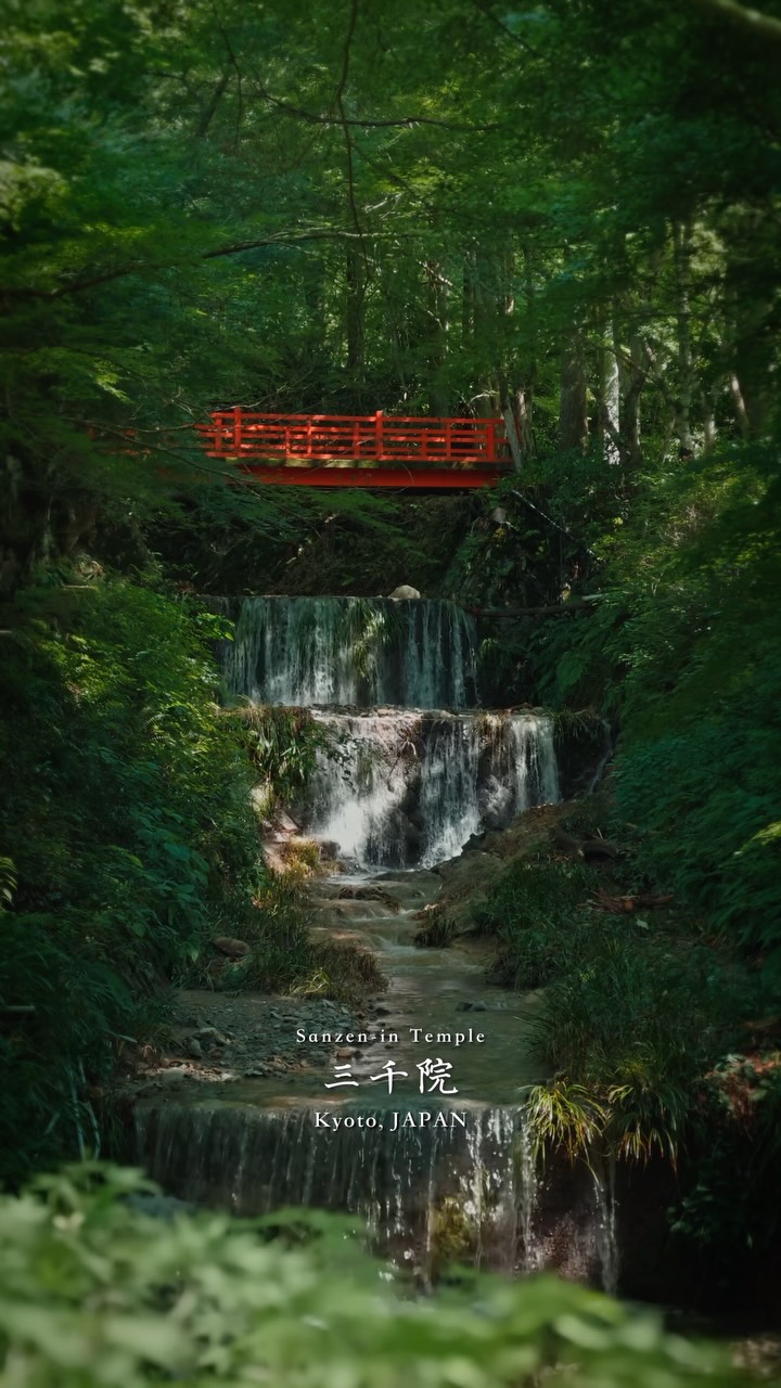Sanzen-in Temple's Serene Natural Beauty