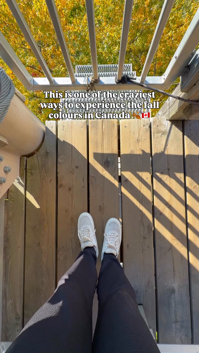 Quebec Fall Ziplining Adventure