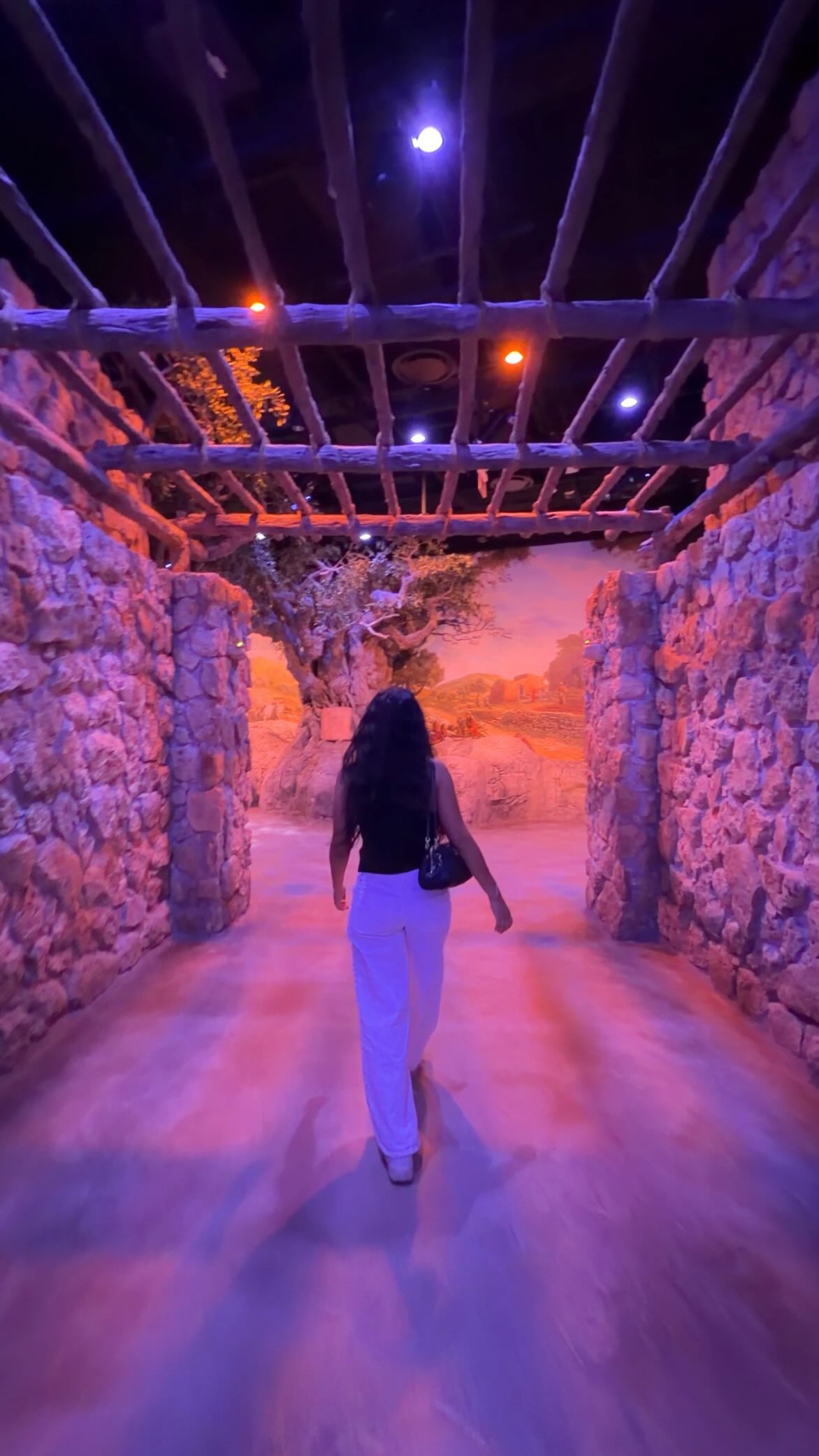 Museum of the Bible Highlights Exhibits and Amenities