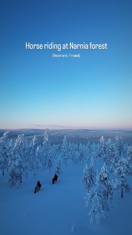 Rovaniemi's Magical Winter Horse Riding Adventures