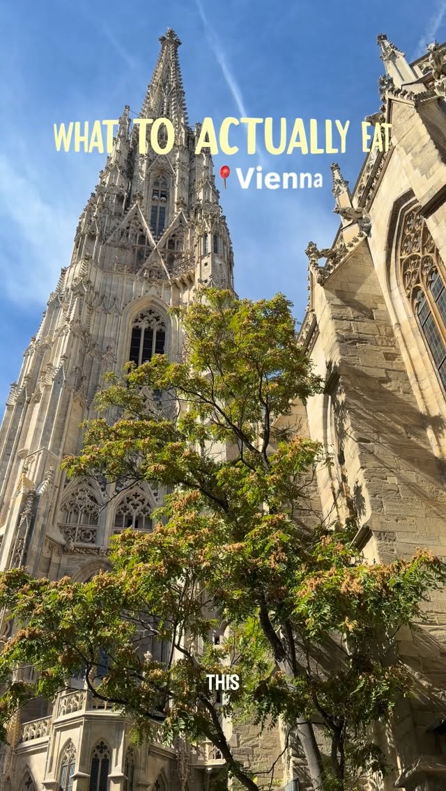 Vienna's Historic Cafes and Taverns