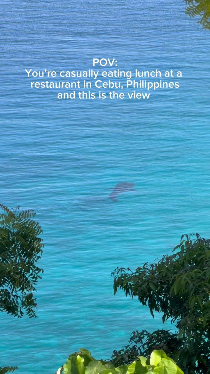 Oslob Restaurant Offers Whale Shark Views