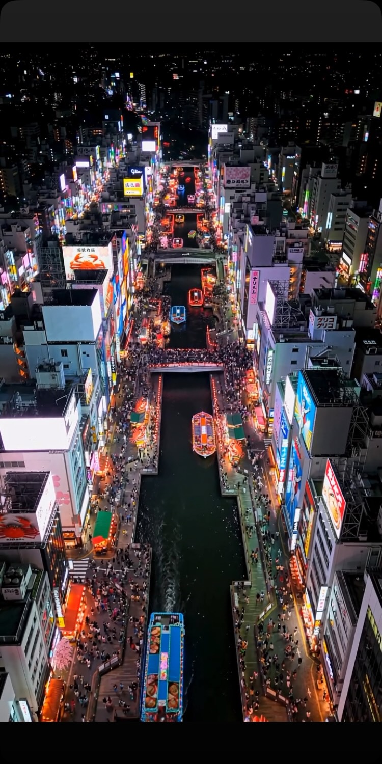 Dotonbori's Neon Wonderland at Night