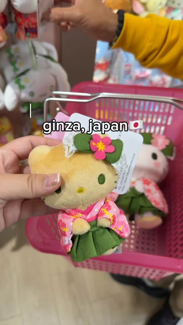 Ginza Exploration: Muji, Sanrio, and Hashigo