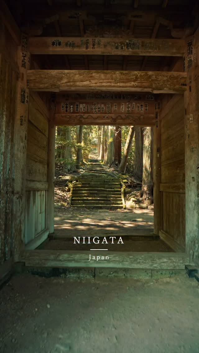 Seisuiji Temple's Tranquil Surroundings