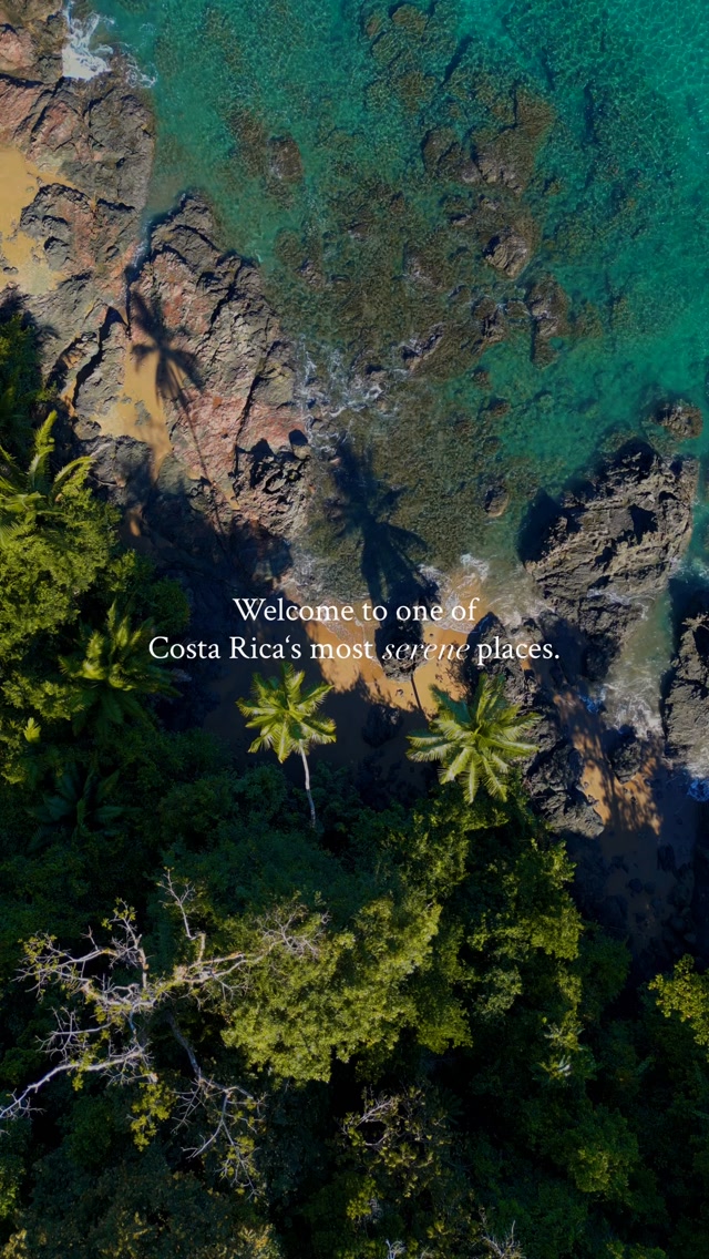 Osa Peninsula and Corcovado National Park: Wild Costa Rica