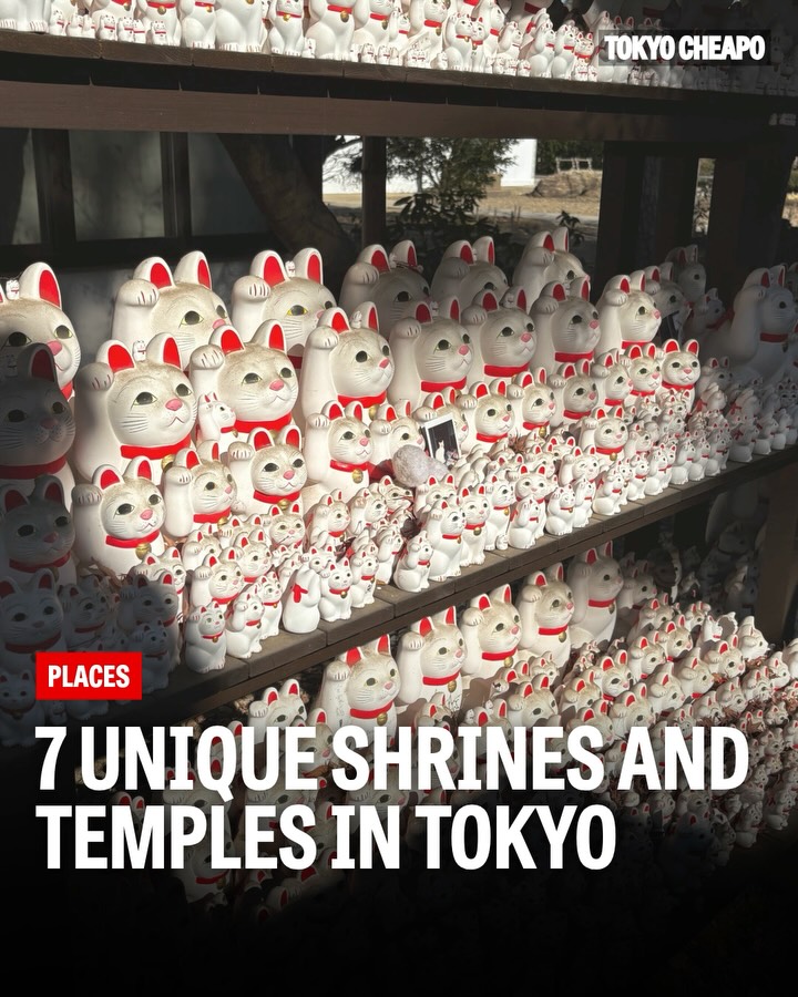 Seven Tokyo Shrines and Temples With Unique Charms
