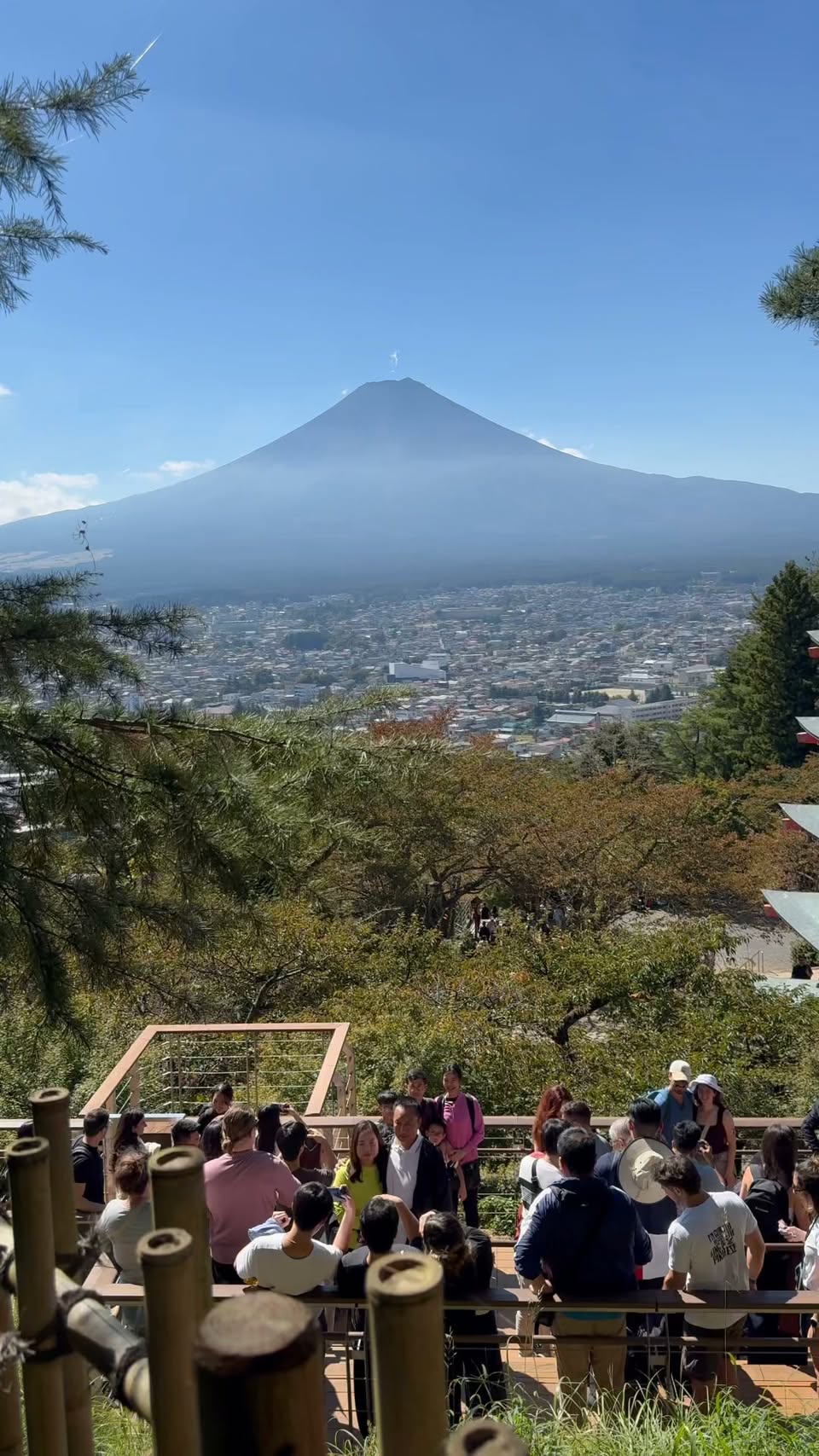 Mount Fuji And Chureito Pagoda