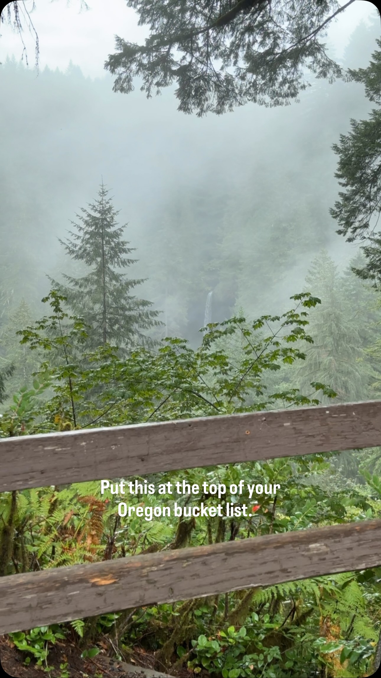 Silver Falls State Park Nature Trails