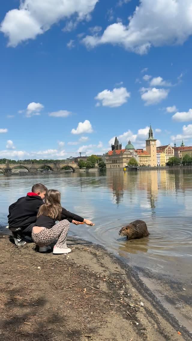 Explore Ten Free Prague Attractions