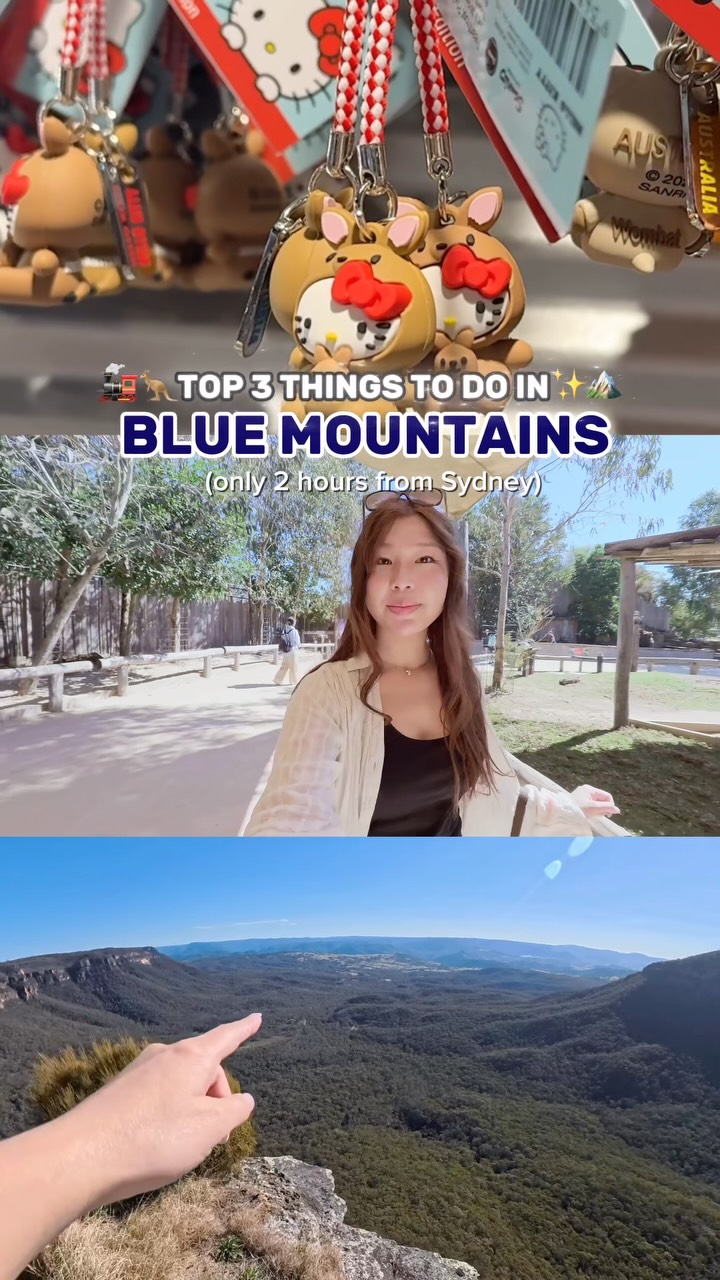 Blue Mountains Explorer: Scenic World to Leura