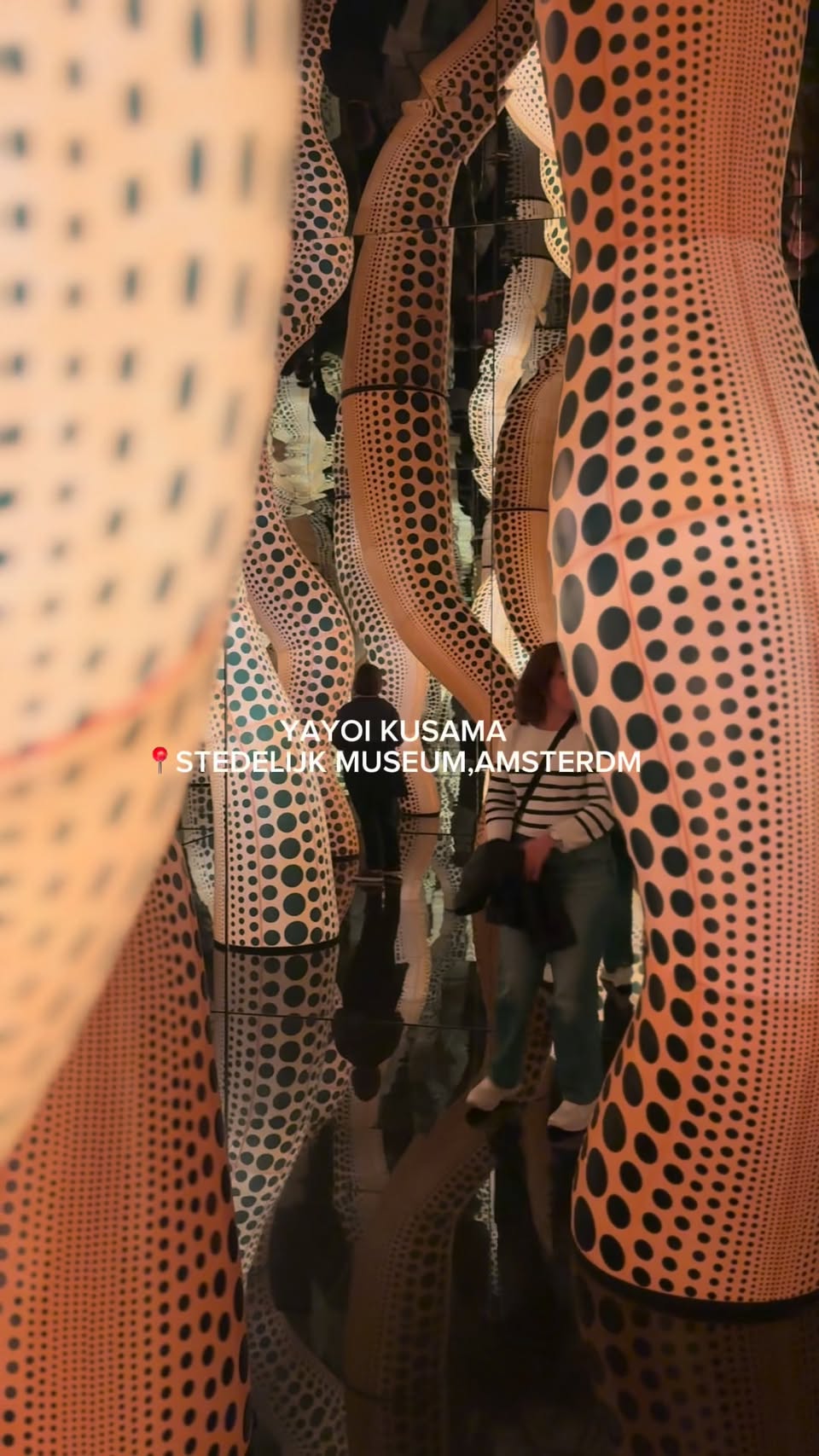 Yayoi Kusama's Polka Dot World at Stedelijk Museum