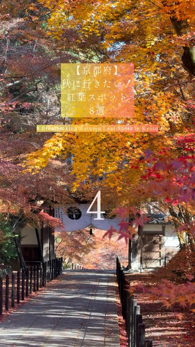 Kyoto's Eight Best Autumn Leaf Viewing Spots