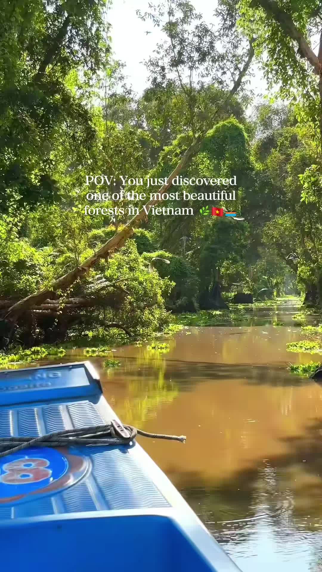 Tra Su Cajuput Forest: Mekong Delta's Green Waterways