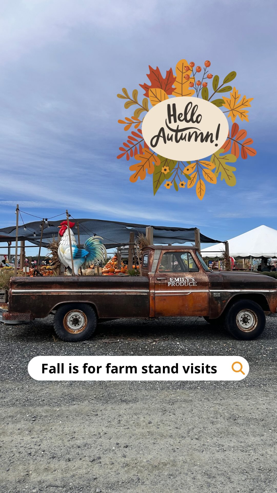 Maryland Farm Stand Offers Fall Delights