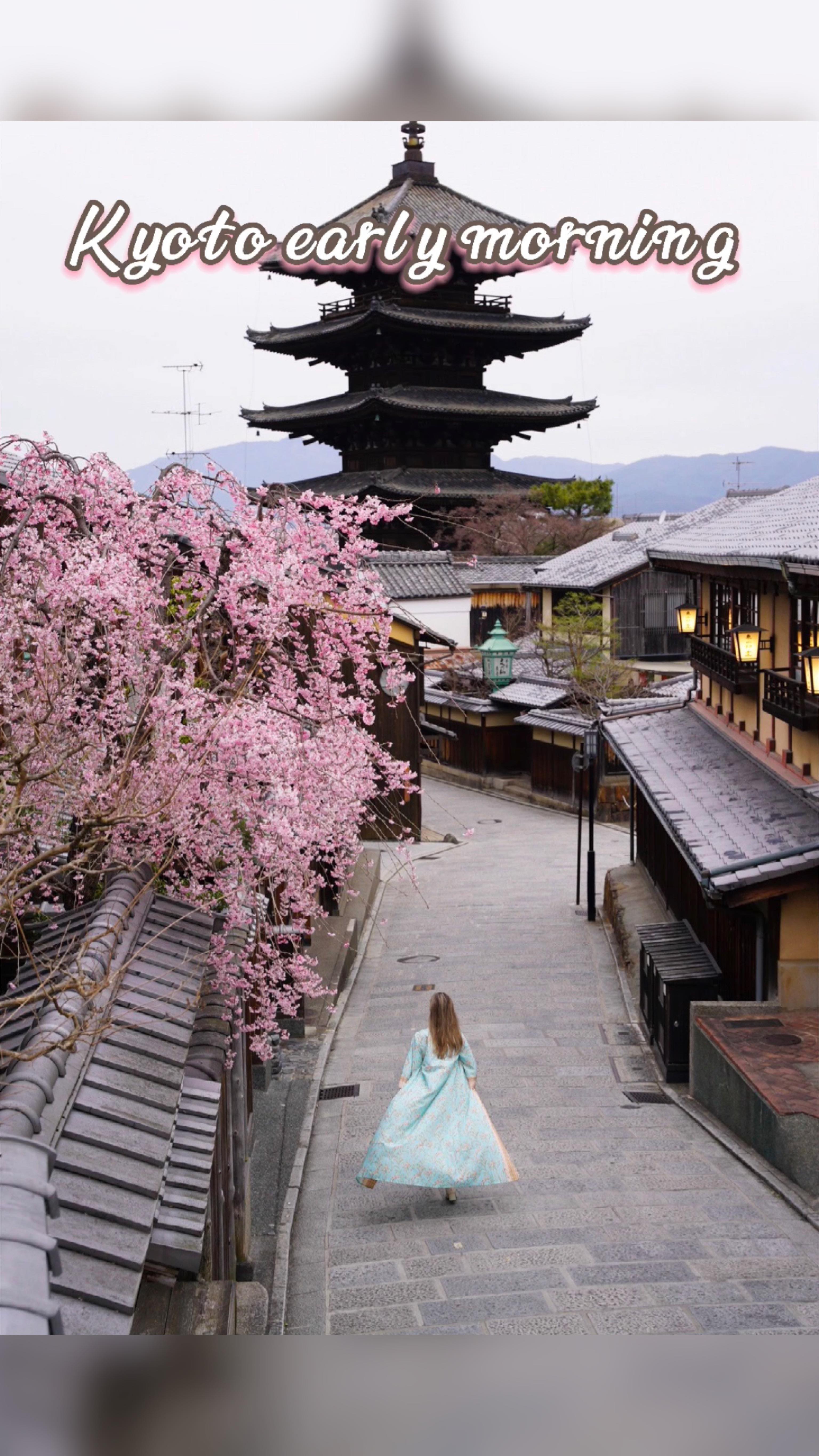 Kyoto's Scenic Spots During Cherry Blossom Season