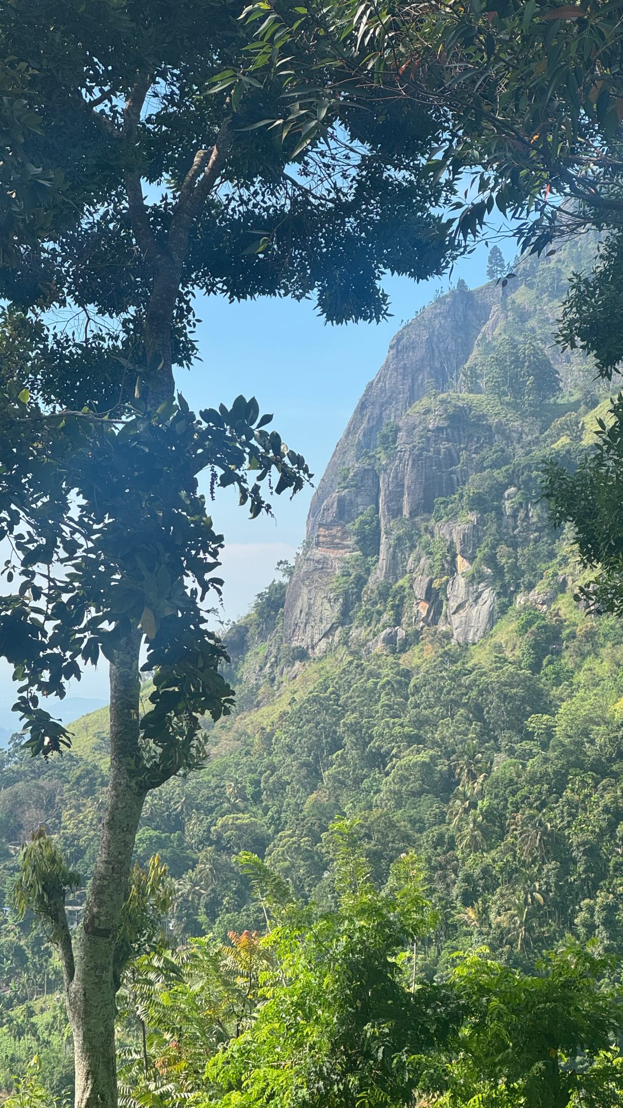 Sri Lankan Trail Highlights: Ella Rock to Nine Arch Bridge