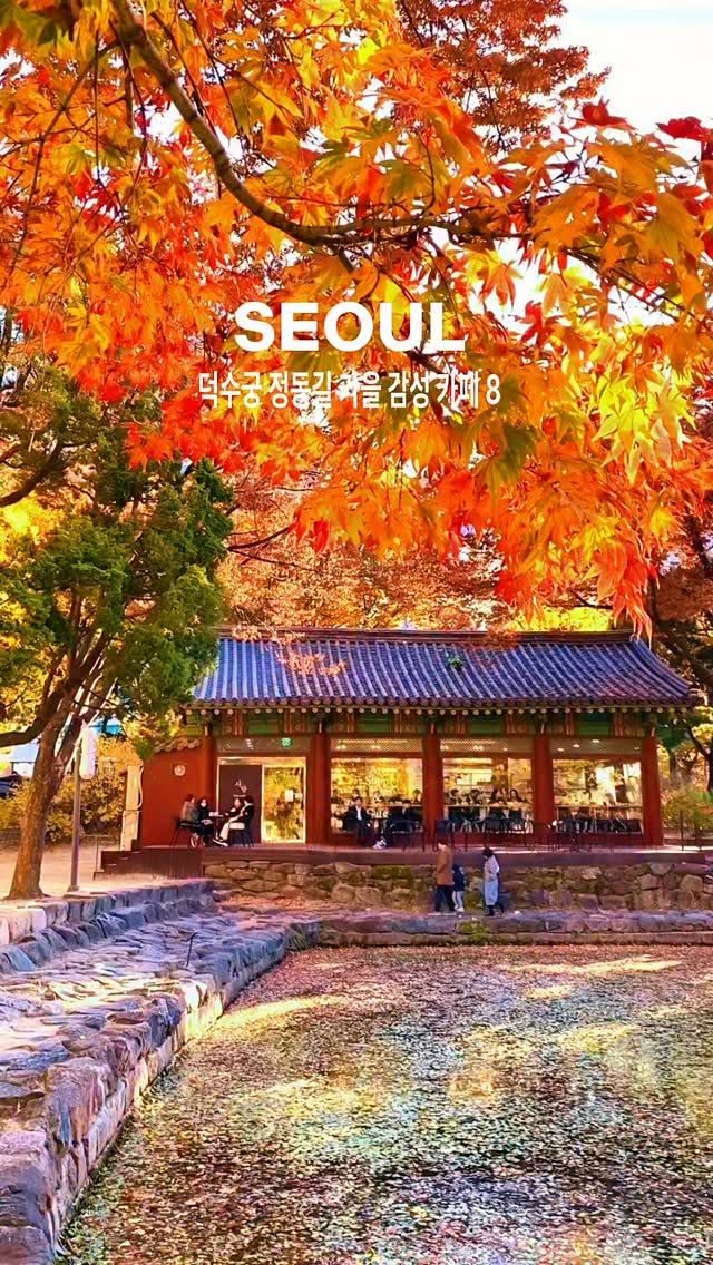 Autumn Cafes Along Seoul's Deoksugung Jeongdong-gil