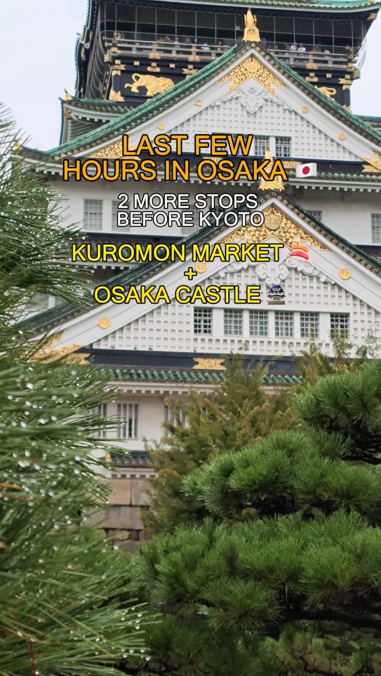 Osaka's Culinary Delights and Historic Castle
