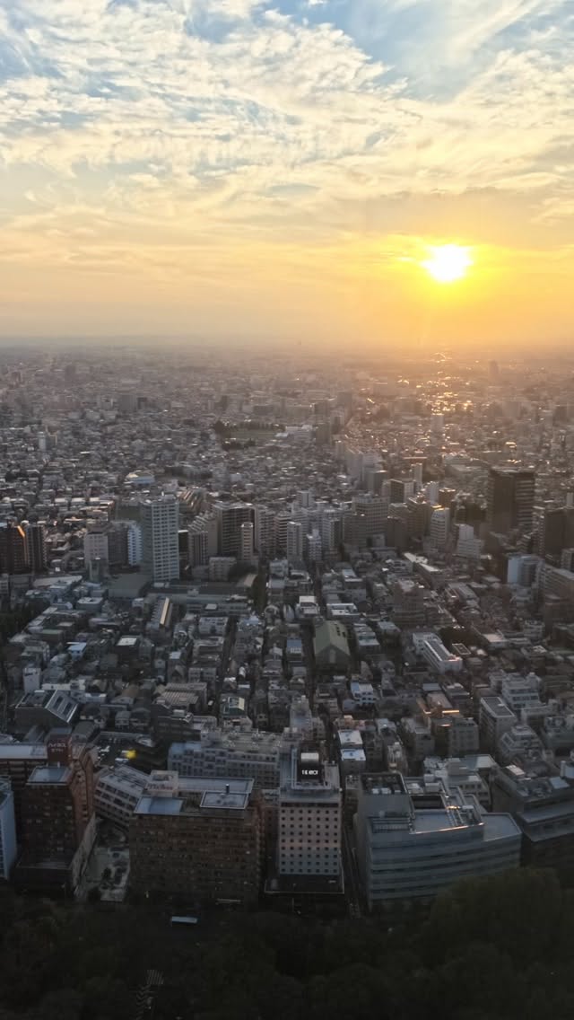 Tokyo Metropolitan Government Building's Free Night Views