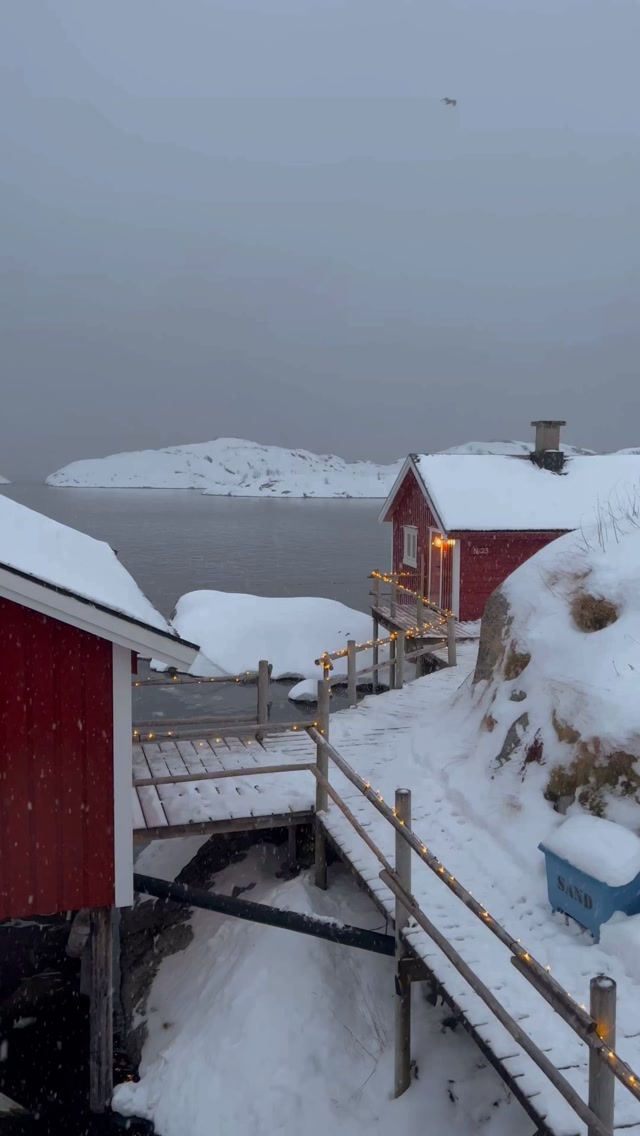 Arctic Winter Cabins in Snowy Lofoten