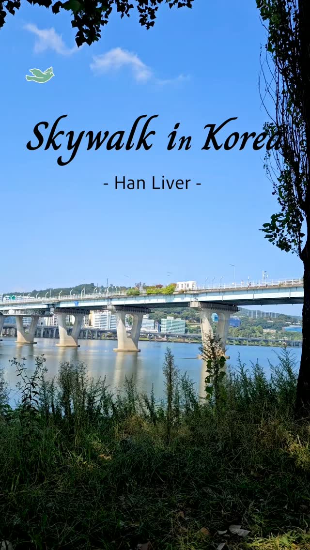 Han River Skywalk Offers Sunset Views and Activities