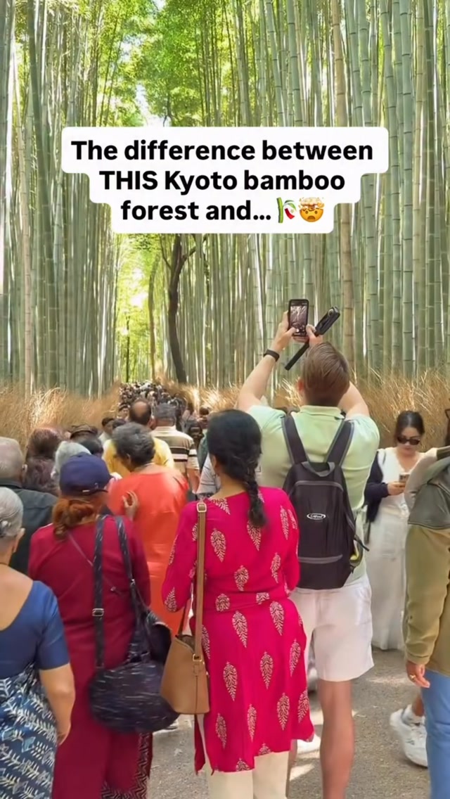 Kyoto's Bamboo Groves: Crowded vs. Peaceful