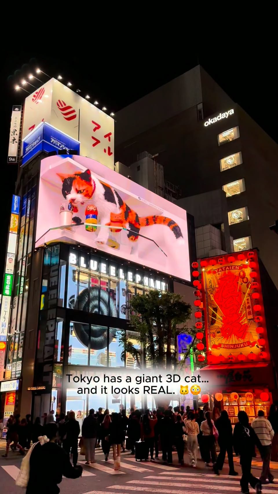 Shinjuku's Giant 3D Cat Billboard