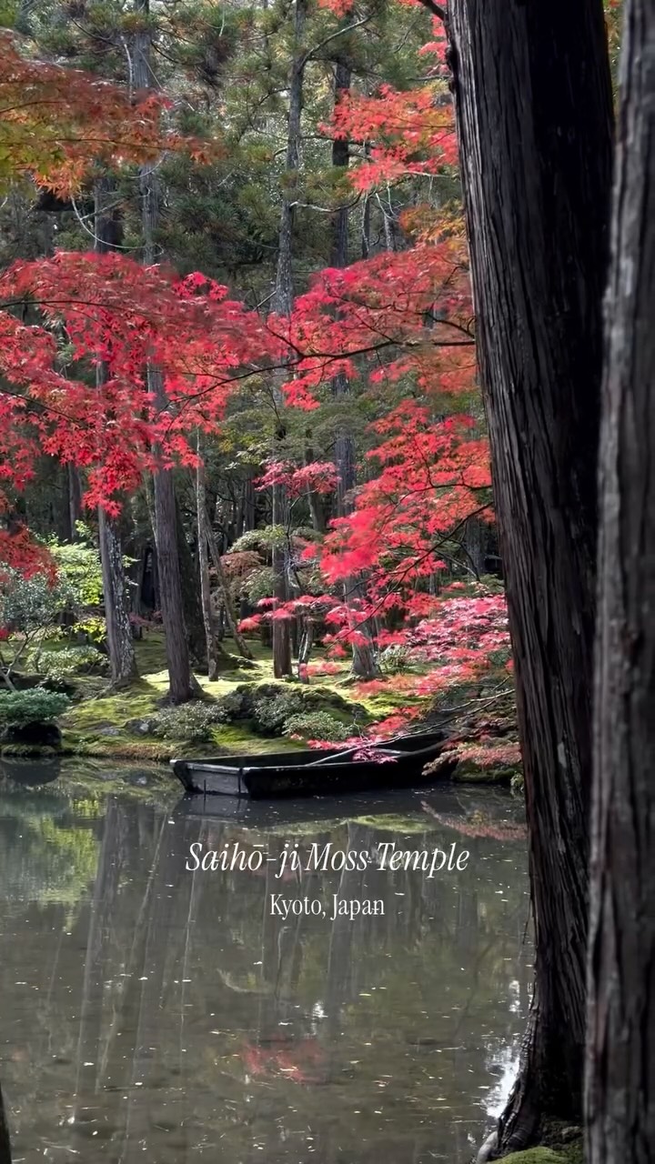 Kyoto's Tranquil Moss Temple