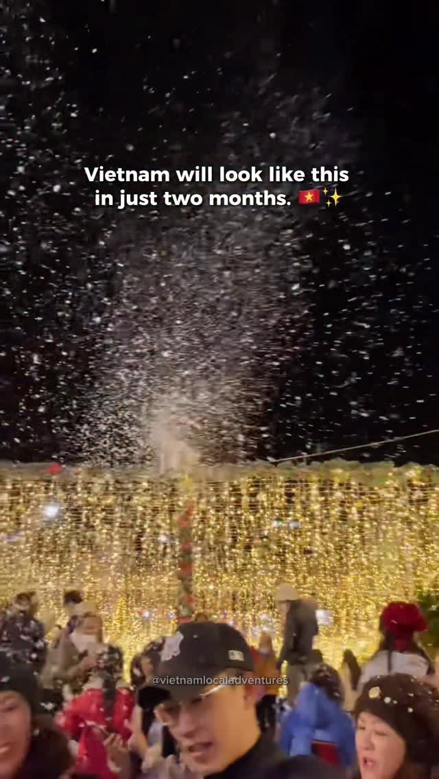 Vietnamese Spots Decked Out for Christmas Festivities