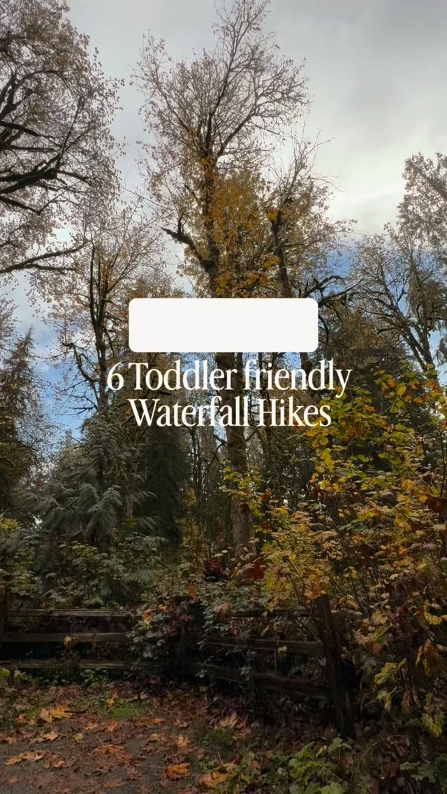 Washington's Toddler-Friendly Waterfall Hikes