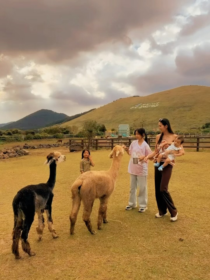 Jeju Family Fun: Waterfalls, Farms, Beaches & Markets