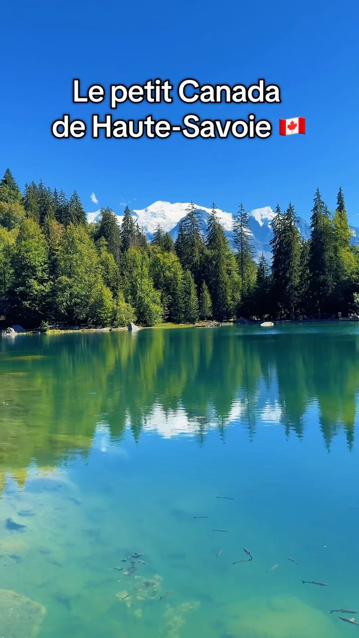 Emerald Lake and Lakeside Restaurant Views