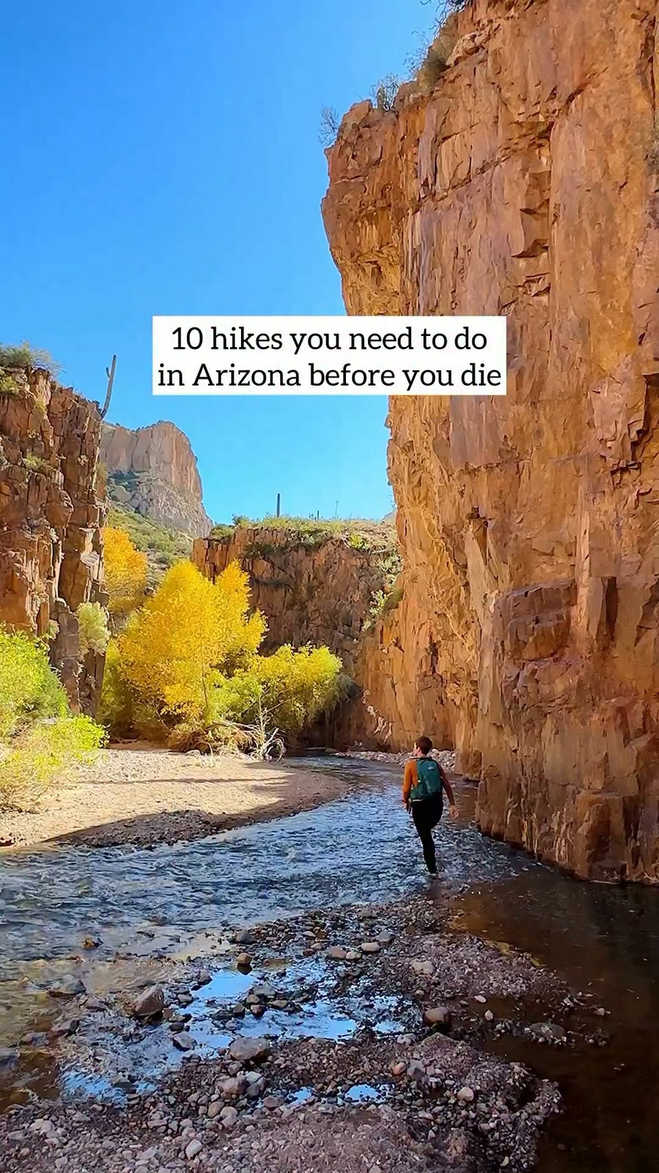 Arizona's Diverse Hikes Through Canyons, Forests, and Rocks