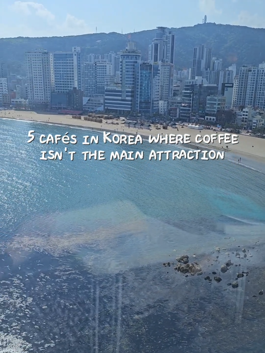 Unique Korean Cafes Offer More Than Coffee