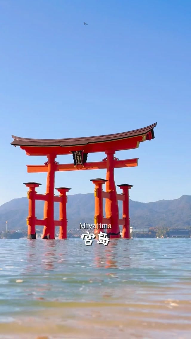 Miyajima's Autumn Foliage And Night Illuminations