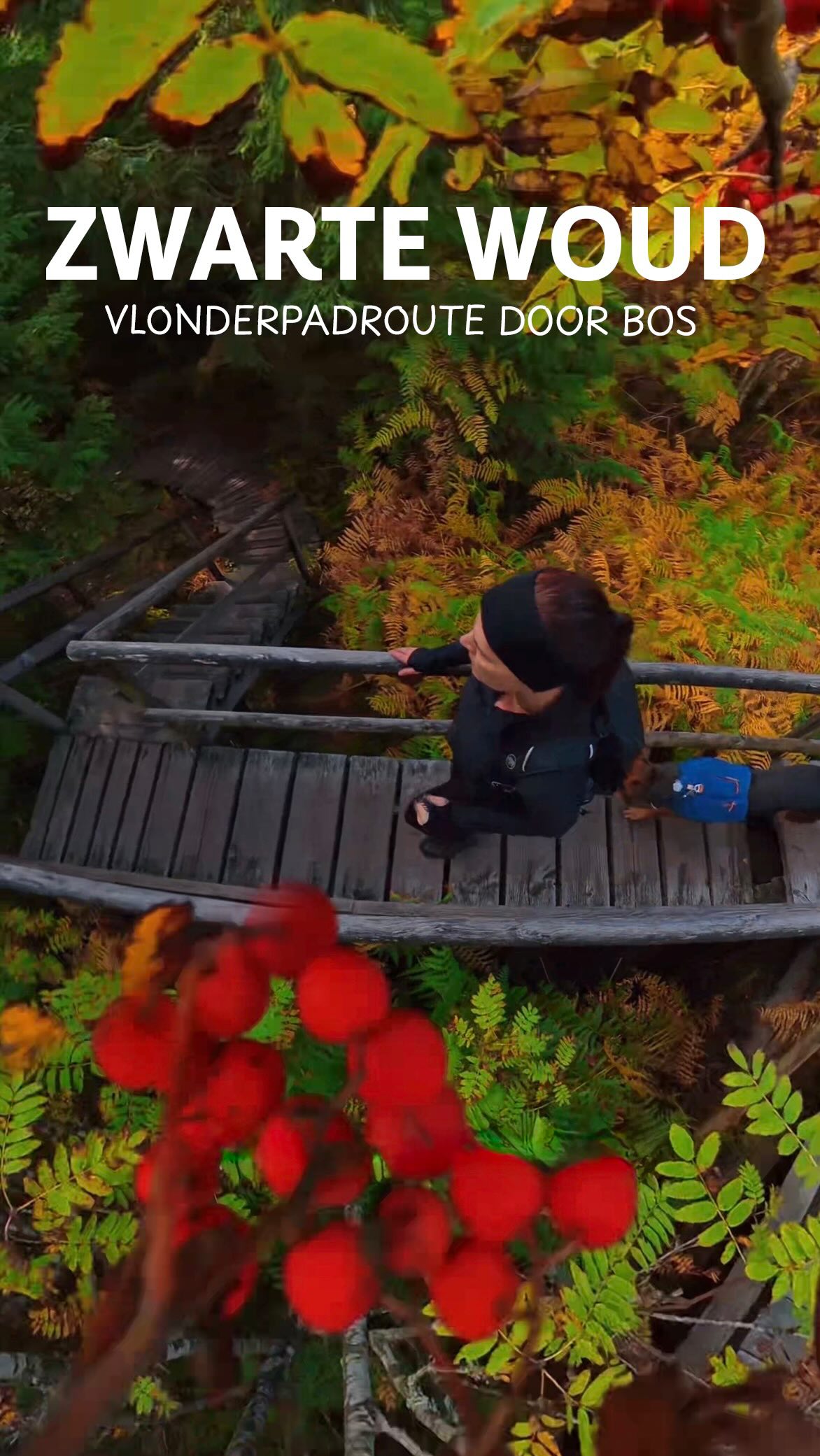 Lotharpfad: A Black Forest Boardwalk Trail