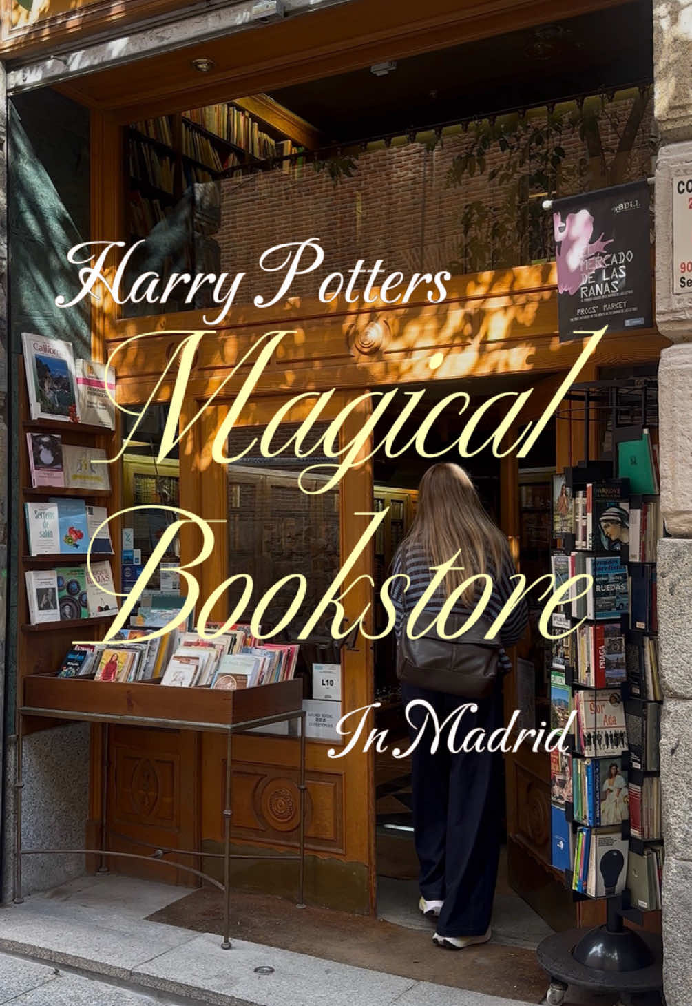 Magical Bookstore With Harry Potter Vibes