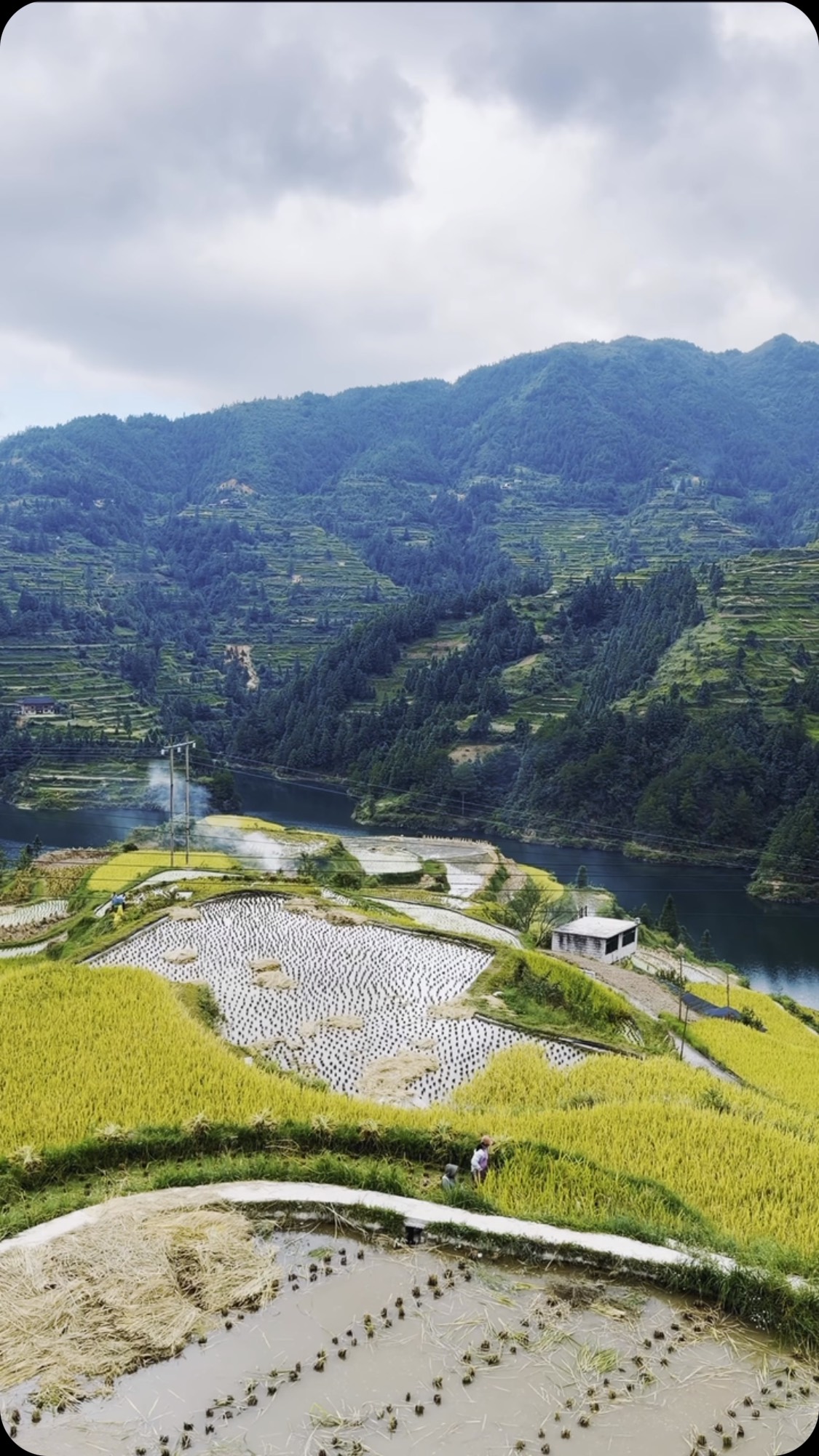 Three Traditional Villages In Guizhou At Risk