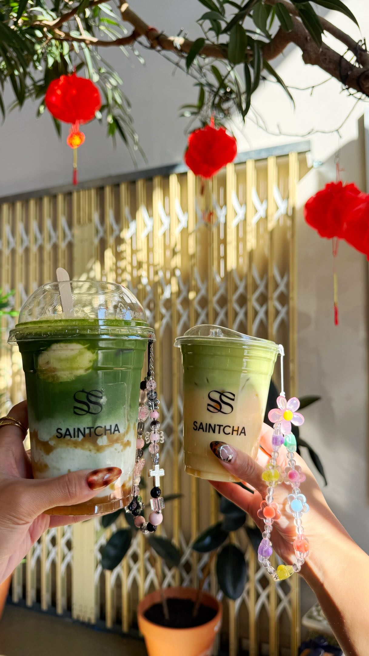PaPa Kitchen's Matcha Pop-Up and Spring Rolls