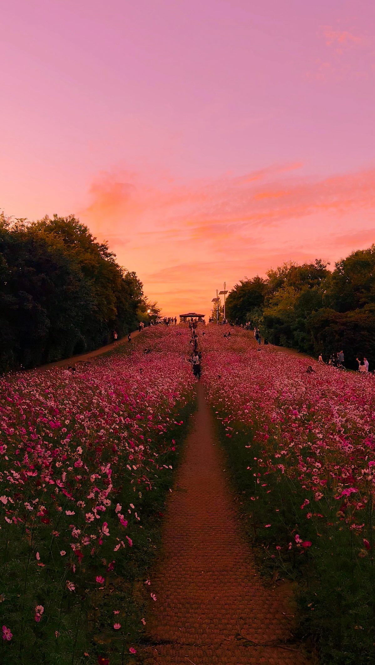 A Majestic Korean Park