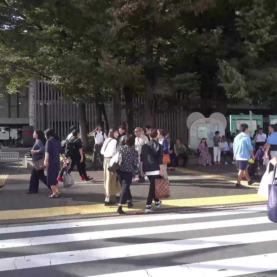 Ueno Ameyoko Street Food Tour