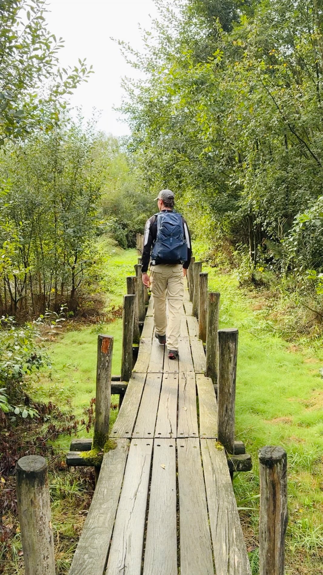 Explore Lier's Charm and Kempen Region Adventures