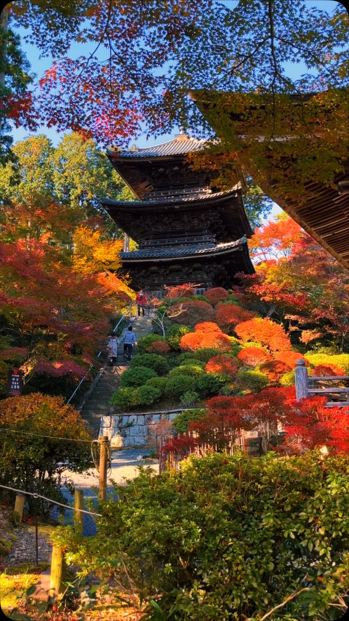 Joraku-ji Temple's Autumn Foliage Beauty