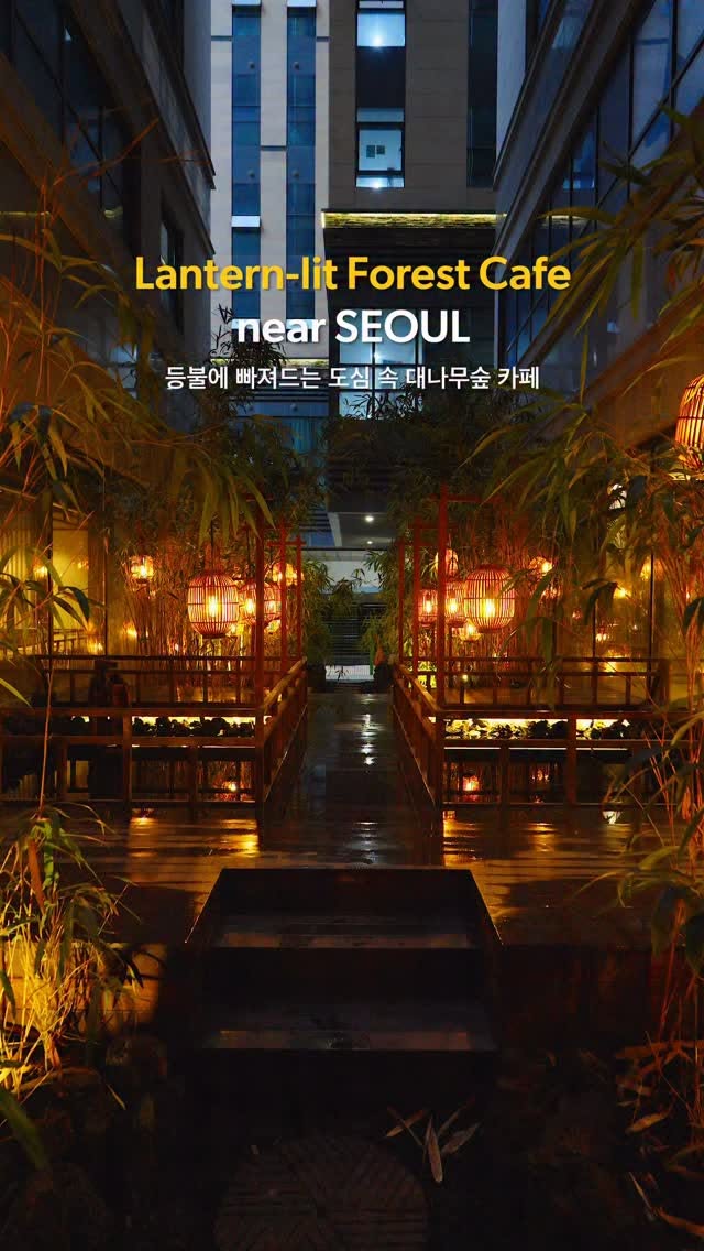 Korean Bamboo Forest Cafe Offers Serene Atmosphere