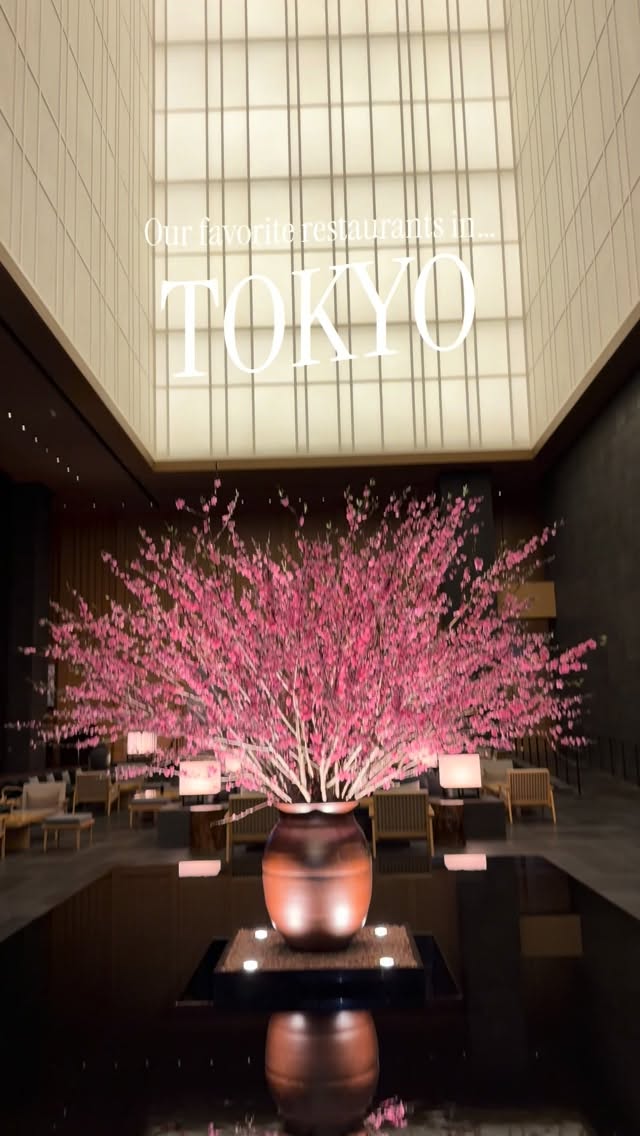 Tokyo's Diverse Culinary Scene Highlighted