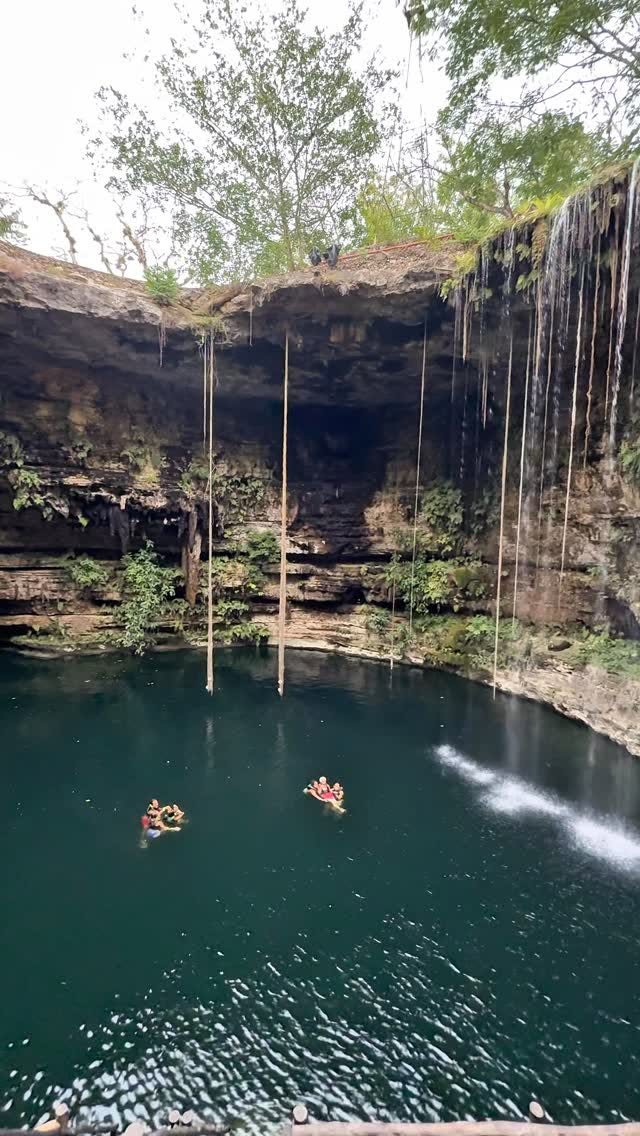 Top Cenotes in Yucatan For Your Next Trip
