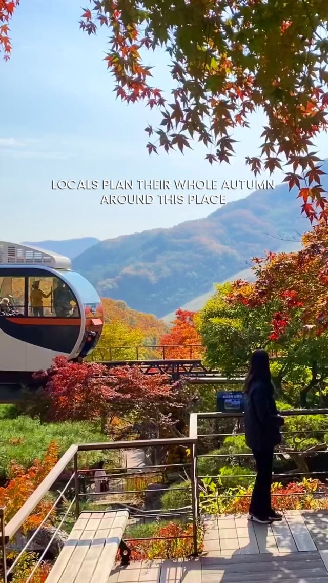 Hwadam Botanic Garden's Autumn Foliage Beauty
